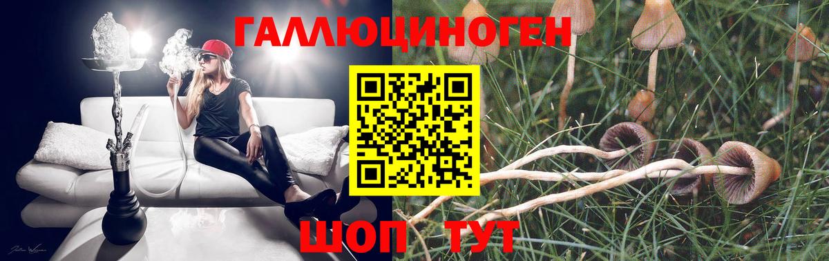 Галлюциногенные грибы MAGIC MUSHROOMS  Вход с VPN  Чебоксары 